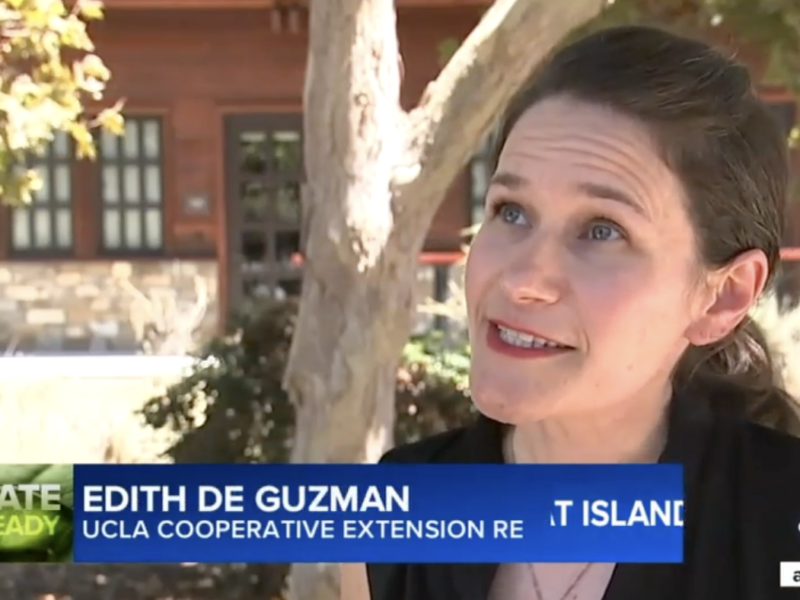 Edith de Guzman speaking with ABC7 News about how trees keep cities cool